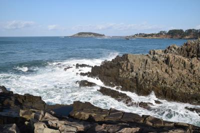 年越し能登とあわら温泉の旅⑤　あわら温泉から東尋坊の最終日