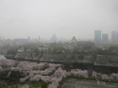 コロナ感染が怖いけど桜を見に行きたくて