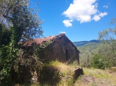 PignaとDolceacqua　リグリアへ日帰り旅行 　