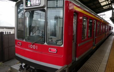 箱根の（乗り物の）旅　その２　赤い電車が山間の急勾配を