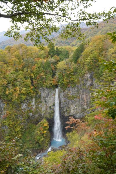 紅葉の白川郷（まだ早かった）