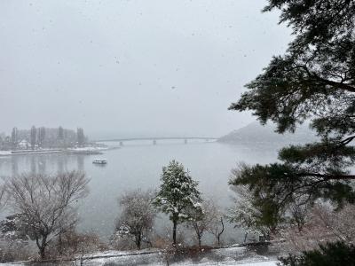 思いがけない雪景色の朝｡｡｡4月の河口湖にて