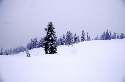 雪にまみれた　カナダ・アメリカ西海岸の旅　シアトル編