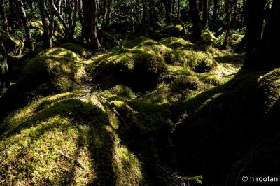 八ヶ岳ライフ 22年6月:信州安曇野ハーフマラソン前のショートステイ