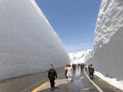 雪の大谷と砺波チューリップ・善光寺御開帳の旅 2日目