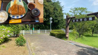 初夏の定光寺公園と、どらデカい超ジャンボロースカツランチ300g