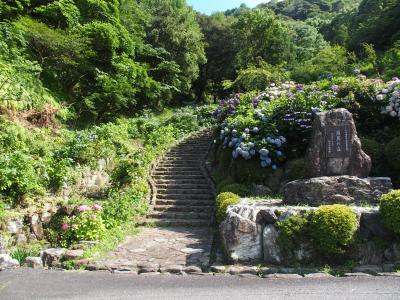 道の駅立田ふれあいの里のハス道の駅月見の里南濃のあじさい祭2022