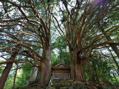 岡崎市額田地区のパワースポット 謎の遺跡&巨木巡り