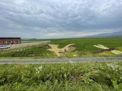 やっと行けました、佐渡島旅行１