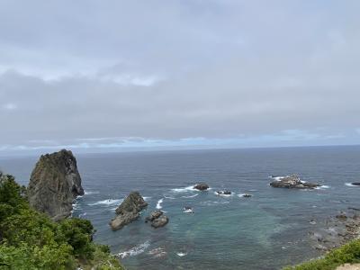 今が旬のうにを食べに、北海道へ行ってきたよ