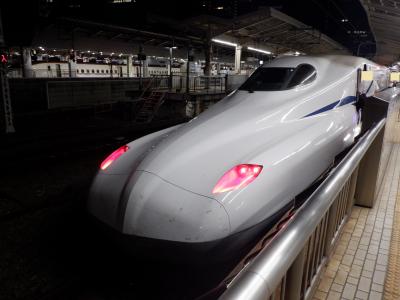 Ｌ　ＪＵＮ　２０２２　　テツ旅Ⅸ・・・・・⑬東海道新幹線のぞみ５８号