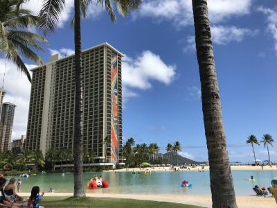 ワイキキ2022(4)PCR検査とショッピングと部屋食ディナー