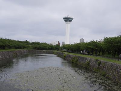 新緑の季節に函館観光の旅（３）日本では珍しい星形要塞の五稜郭を見学