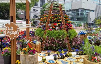 初夏の札幌 大通公園　＊花フェスタ2022とバラ園＊