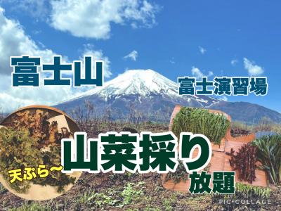 富士山　自衛隊演習場で山菜取り