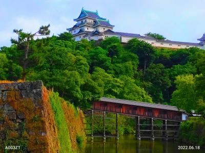 和歌山城、紀三井寺、高野山の観光