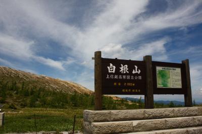 信州・梅雨明けの「山田牧場」~志賀草津ルート