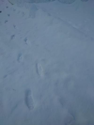 新潟　奥湯沢で雪を楽しむ旅