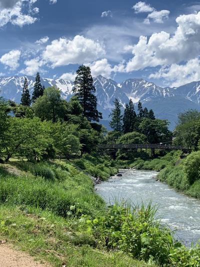 初夏の白馬山麓