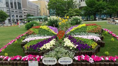 ピーチと「ふらのびえいフリーきっぷ」利用のひとり旅⑥～～最終日、大通公園散歩してピーチで帰ります