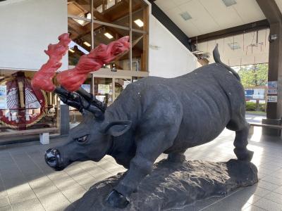 新潟、富山、石川の一宮神社、義経神社。アラ還の旅