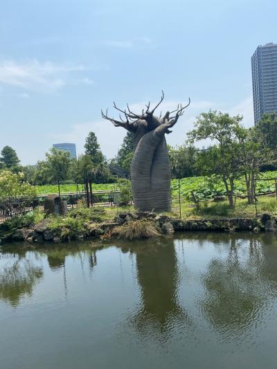 上野動物園とライブ鑑賞