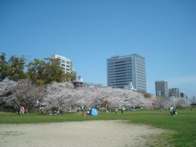 桜が満開の季節に、大濠公園と舞鶴公園へ。