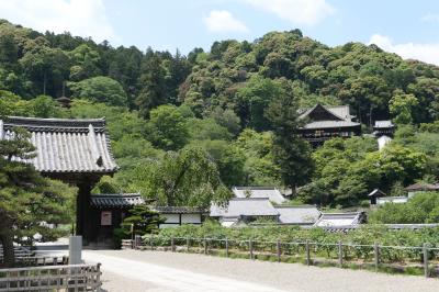 初夏の三重・奈良・京都♪　Vol.76 ☆桜井市：美しい長谷寺♪