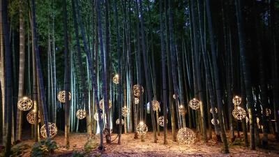 栃木県 日帰り旅行 に関する旅行記 ブログ フォートラベル