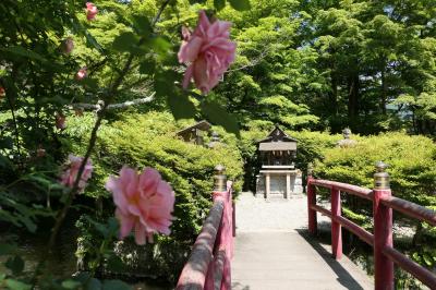 初夏の三重・奈良・京都♪　Vol.78 ☆桜井市：美しい談山神社　池とバラ♪