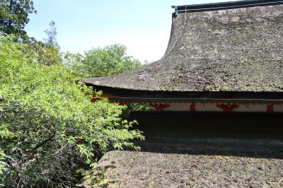 初夏の三重・奈良・京都♪　Vol.80 ☆桜井市：美しい談山神社　江戸時代の社殿♪