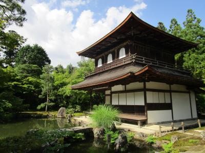 京都で青紅葉を散策、体感気温はもう真夏～(^-^;　in 水無月