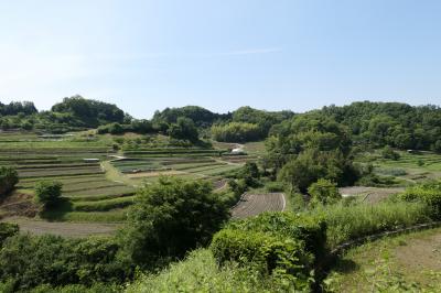 初夏の三重・奈良・京都♪　Vol.90 ☆明日香村：美しい稲渕棚田♪