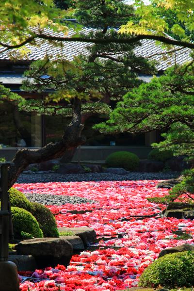 島根　庭園めぐり～足立美術館、由志園