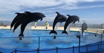 海の中道マリンワールドと下関海響館を巡る1泊2日家族旅行<1日目・福岡編>