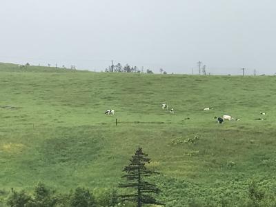 夏休み 　北海道前半