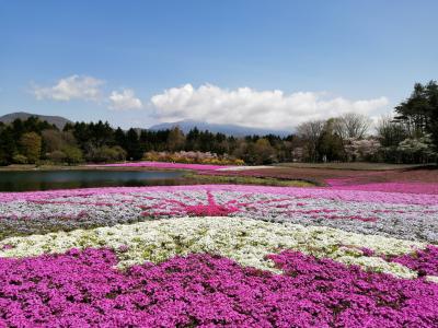 2022春の山梨県民割ツアー