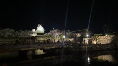 【春のSAKURAドライブ】ライトアップされた世界遺産の夜桜と姫路うまいもん