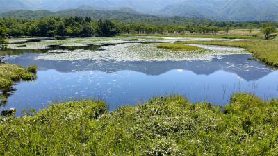 北海道・道北、道東の旅　夏の思い出　～知床・ウトロ・羅臼～ 