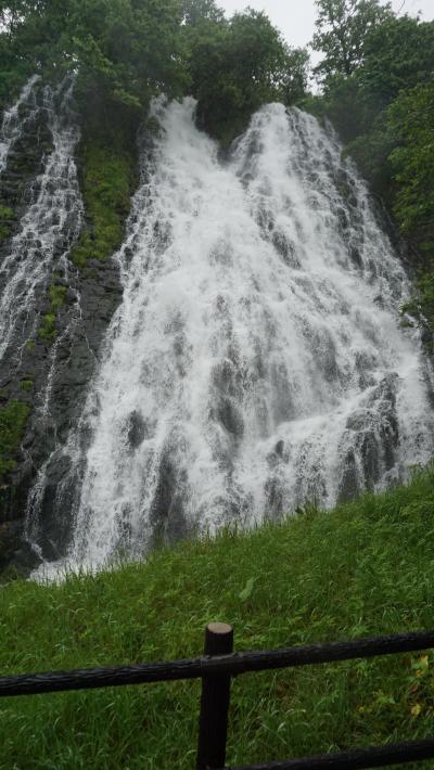 ２０２２年、コロナ感染が下火の初夏に北海道東部へ一人旅　２．雨の一日、博物館と滝と高架木道ウォーク