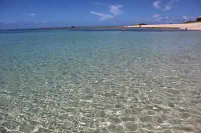 初めての海☆*:.｡. 眩いほどに光り輝く奄美ブルー(*ﾟ▽ﾟ*)②南部は遠し！またまた土盛海岸へ˚✧₊⁎