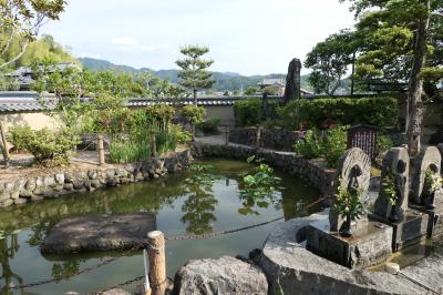 初夏の三重・奈良・京都♪　Vol.111 ☆明日香村：美しい「飛鳥寺」♪