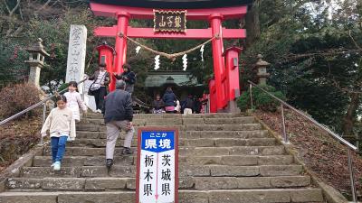 フクロウの神社　鷲子山上神社