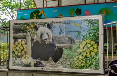 2022年6月・ふらりお泊り母子旅★後編：まさかの！パンダを見ない　上野動物園・HBD XiangXiang♪