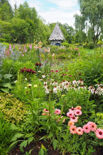 花と緑に囲まれて　in　上野ファーム