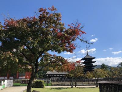 興福寺とキトラ古墳