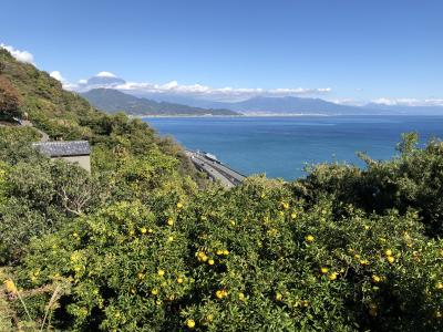 深夜の古墳見学は失敗