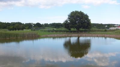 身近な風景で旅気分 武蔵野の森公園