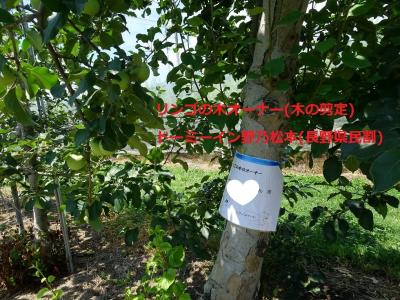 2022年6/29～2泊☆リンゴの木オーナー「お宿 野乃松本」県民割リーズナブルに