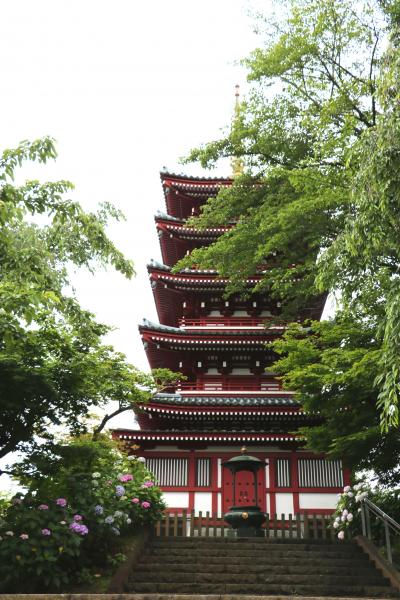 mistralさんと歩く５万株の紫陽花と花菖蒲咲く本土寺&amp;素敵カフェZopf、その後、両（両津勘吉）さんに会いに行きました♪